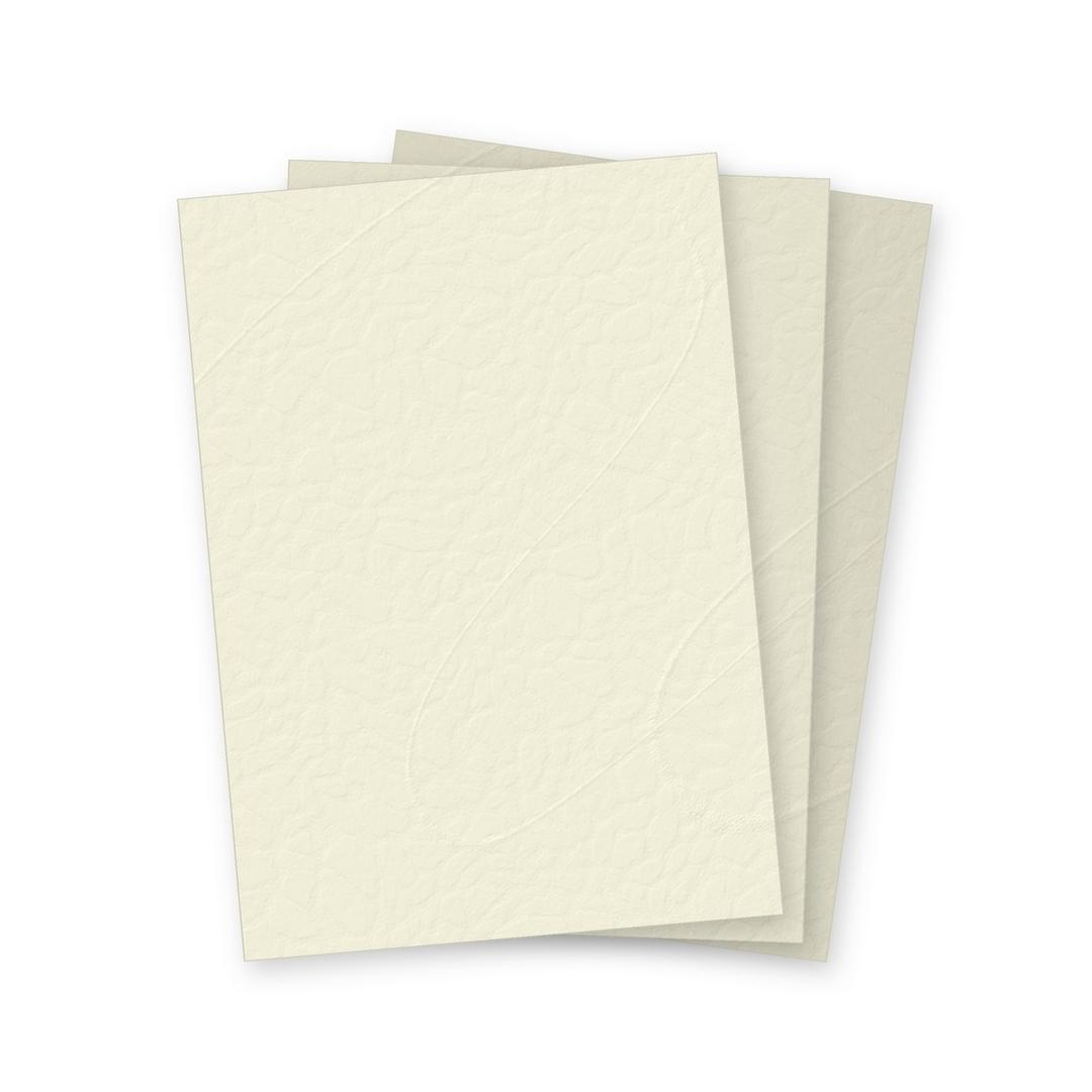 Couvertures cartonnées grain cuir 250 g/m² A3 ivoire FALCON K - Couvertures cartonnées grain cuir Falcon K ivoire A3, illustration