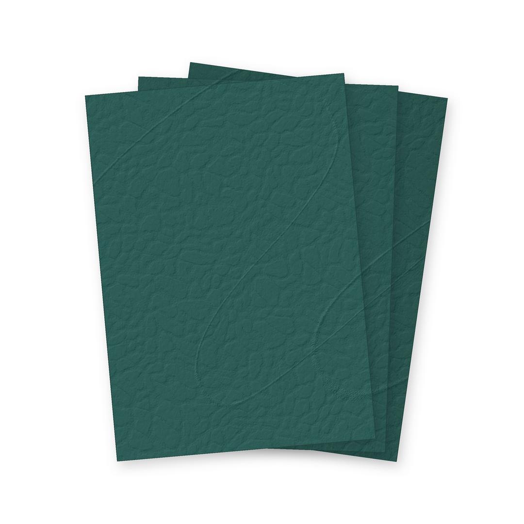 Couverture Grain Cuir vert chasse A3 250gsm FALCON K - Couvertures cartonnées grain cuir Falcon K vert fonce A3, illustration
