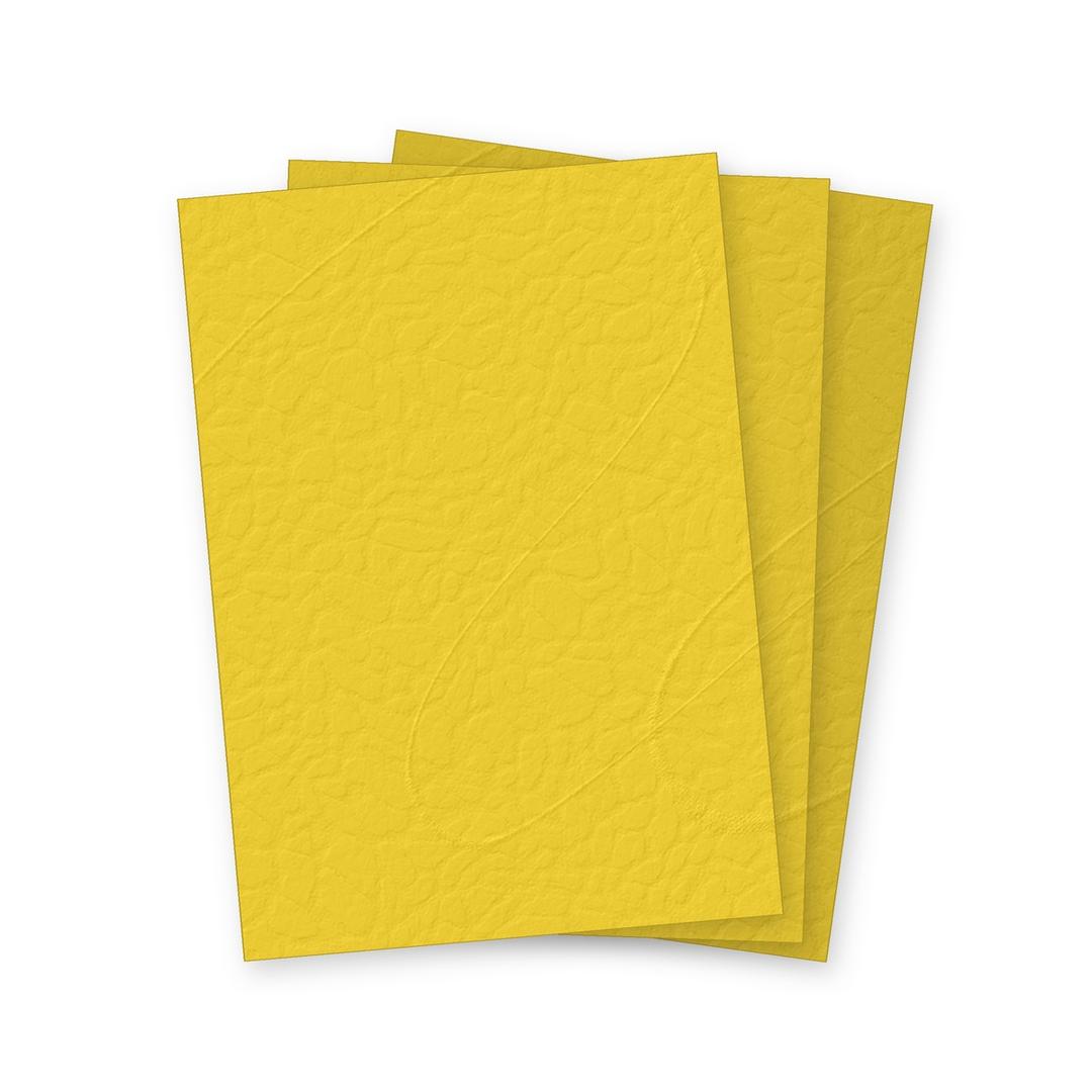 Couvertures cartonnées grain cuir Falcon K jaune A4, illustration