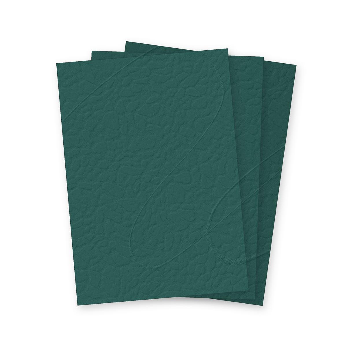 Couverture Grain Cuir vert chasse A4 250gsm FALCON K - Couvertures cartonnées grain cuir Falcon K vert fonce A4, illustration